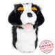 Daphne's Burmese Mountain Dog Headcover