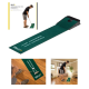 SKLZ Golf Accelerator Pro Putting Mat - Compact