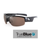 Sundog Evo Eyeware - True Blue - Shiny Black / Brown FM